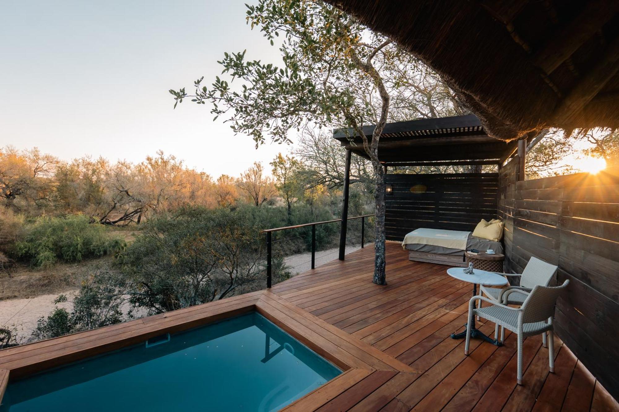 Thornybush Simbambili Lodge Sabi Sand Game Reserve Εξωτερικό φωτογραφία