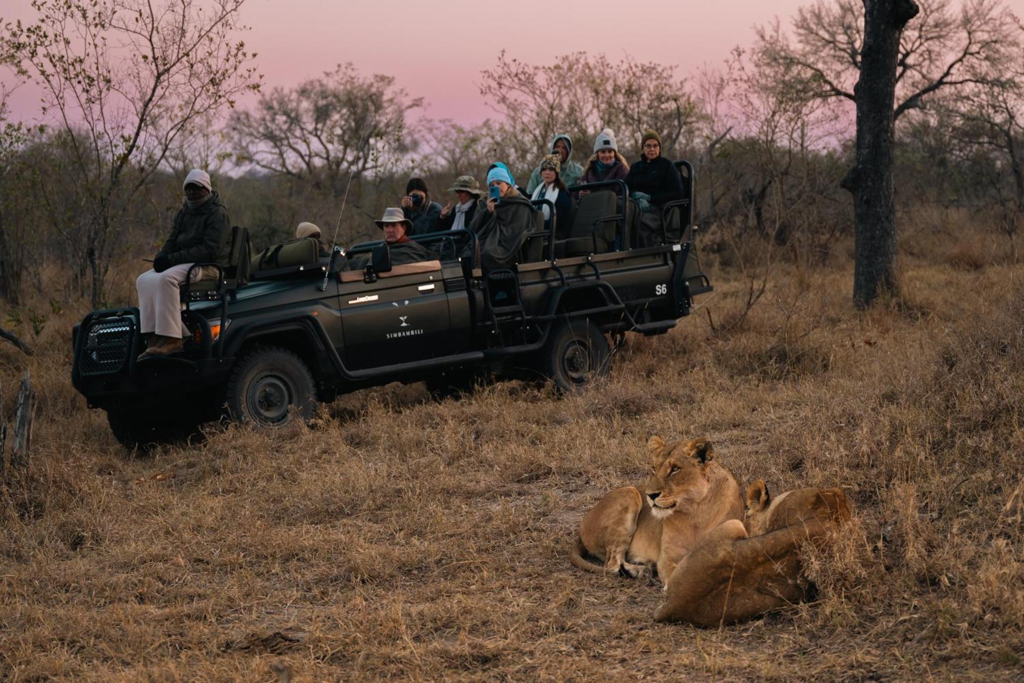 Thornybush Simbambili Lodge Sabi Sand Game Reserve Εξωτερικό φωτογραφία