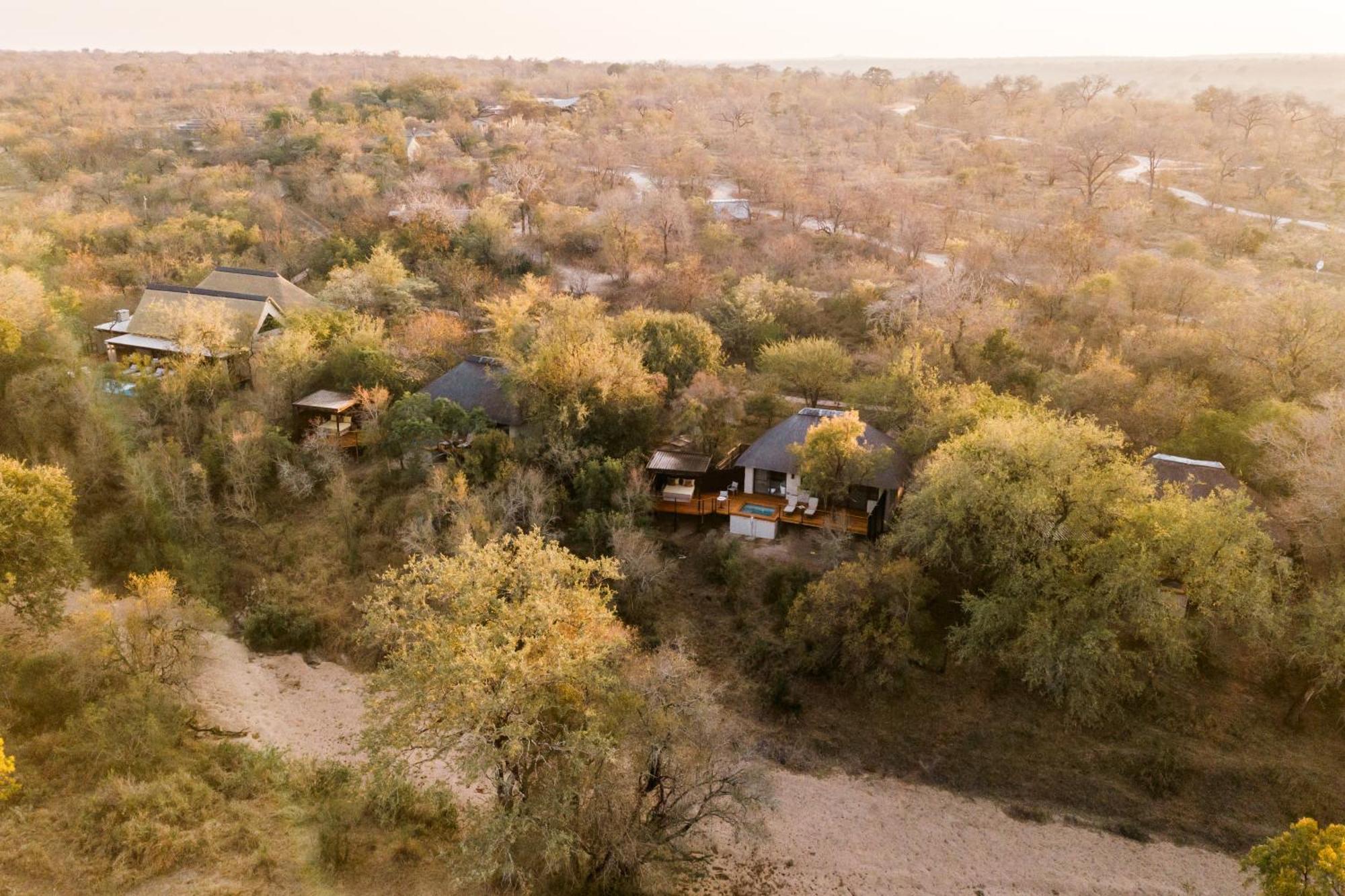 Thornybush Simbambili Lodge Sabi Sand Game Reserve Εξωτερικό φωτογραφία
