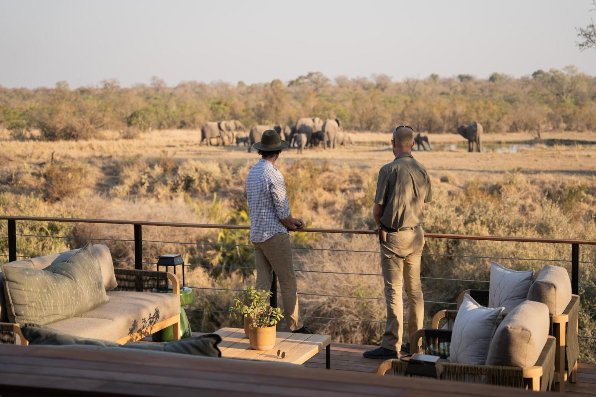 Thornybush Simbambili Lodge Sabi Sand Game Reserve Εξωτερικό φωτογραφία